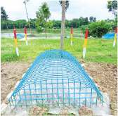 Image of মো: তরিকুল ইসলাম রুবেল